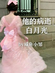 他的病逝白月光