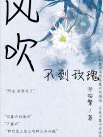 風(fēng)吹不到玫瑰