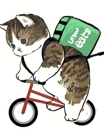 变成猫猫怎么生活