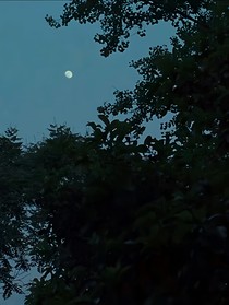 不缘不念