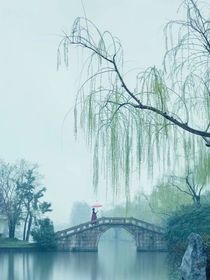 夜闌臥聽風(fēng)雨聲