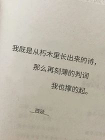 明月星辰不及她