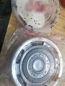 璀璨耀眼的星光