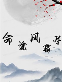 命途风霜尽