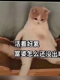 书名正在修改1727254628320126543