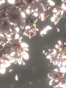 月亮不会向我走来