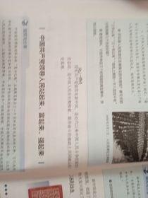 思想政治
