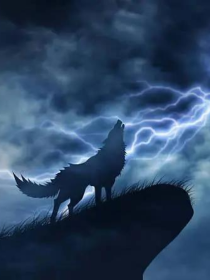 狼王梦——神凡之狼