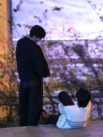 浪漫玫瑰（文轩）
