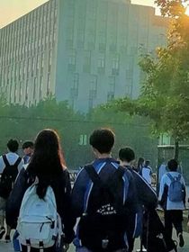 渝漫丛的郁金香