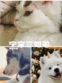 宁家三姐弟