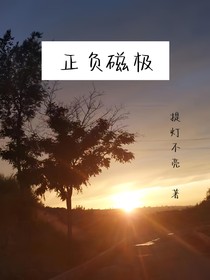 正负磁极
