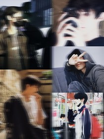 TF家族：重现玫瑰