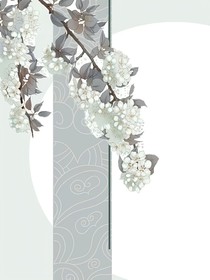 快穿：又摆又肝