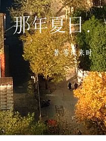 那年夏日……