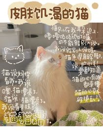 现代兽世：我那皮肤饥渴的猫咪