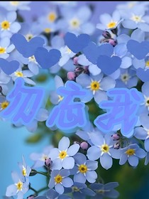 ——勿忘我——