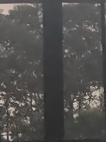 清欢细水