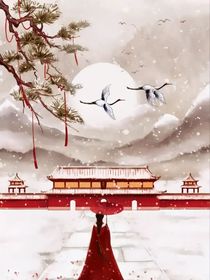 风华录之公主殿下