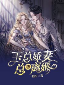 玉總嬌妻總想離婚