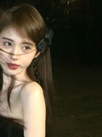 TNT：娇艳野玫瑰