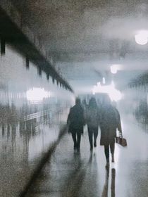 跌入玫瑰园