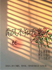 南风不知向黎意