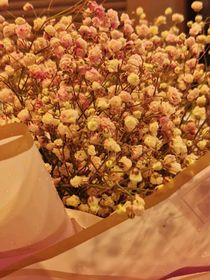 尴尬的见面