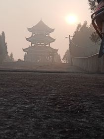 计划中的爱