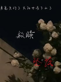 救贖—墜落