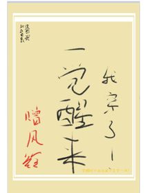 一覺醒來我穿了（修改版）