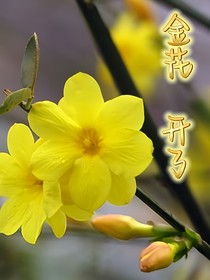 剧本（部分）