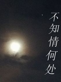 不知情何处
