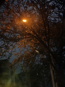 困住的梦