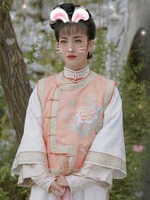晨燕文-d090