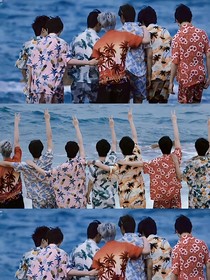 TNT：浪漫旅行