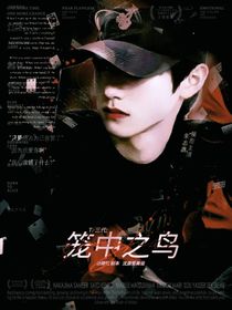 TF三代：籠中之鳥……