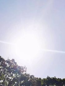 隨他去吧