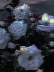 绝世情劫