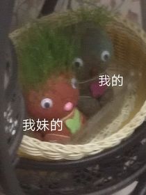 論我一不小心穿越這件事