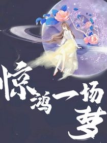惊鸿一场梦（现代）