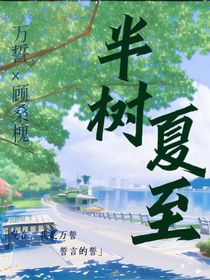 半树夏至
