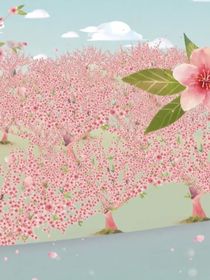 昙花修仙之旅