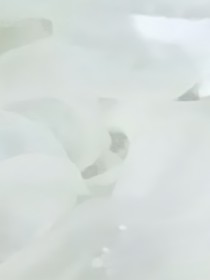 冠免堂皇
