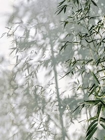 没有道德之后我怼天怼地