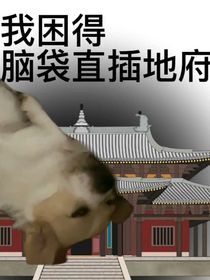 不是怎么什么名都存在