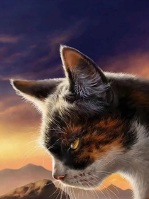 猫武士der日常生活