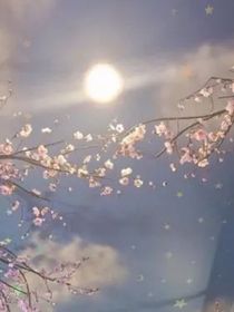 查九之遺憾