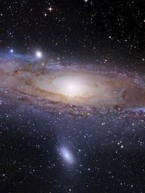 细胞宇宙