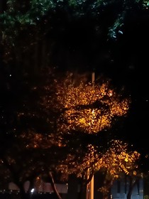 被打脸好像有瘾